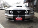 2008 FORD MUSTANG GT DELUXE